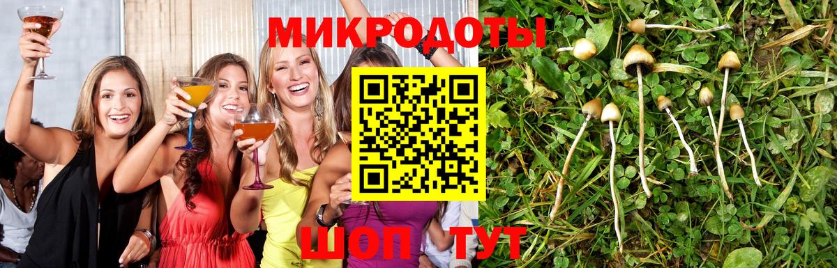 Галлюциногенные грибы мухоморы Белово