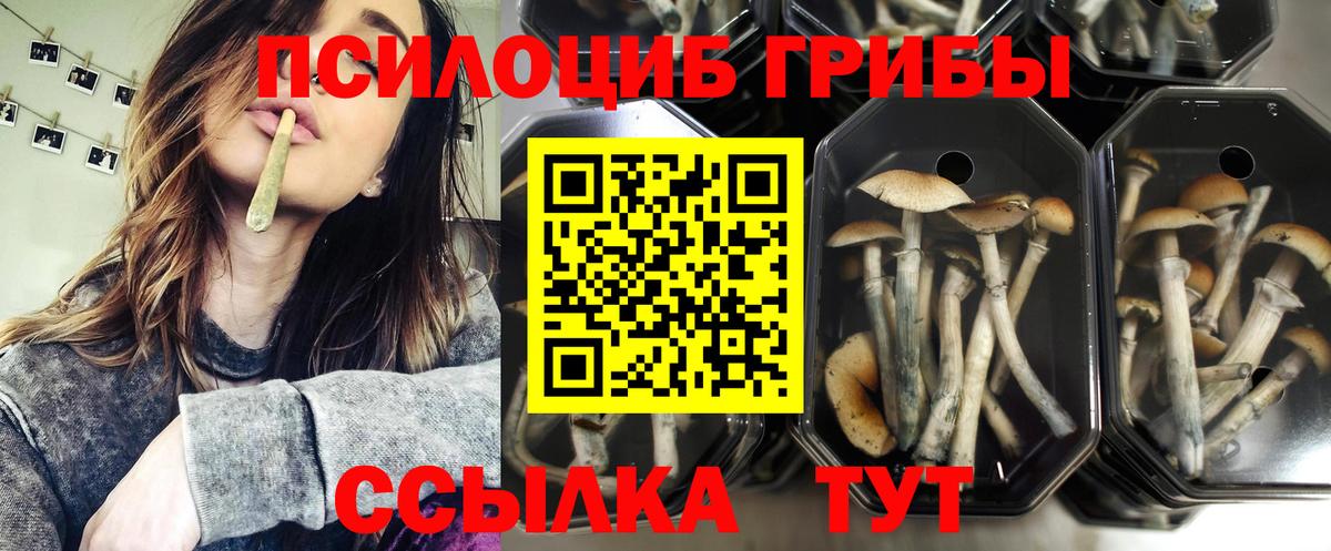 Галлюциногенные грибы MAGIC MUSHROOMS  Вход с VPN  Псилоцибиновые грибы Psilocybe  Белово 